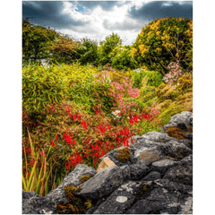 Print - Wildflower Garden, Ballyvaughan, County Clare - Moods of Ireland