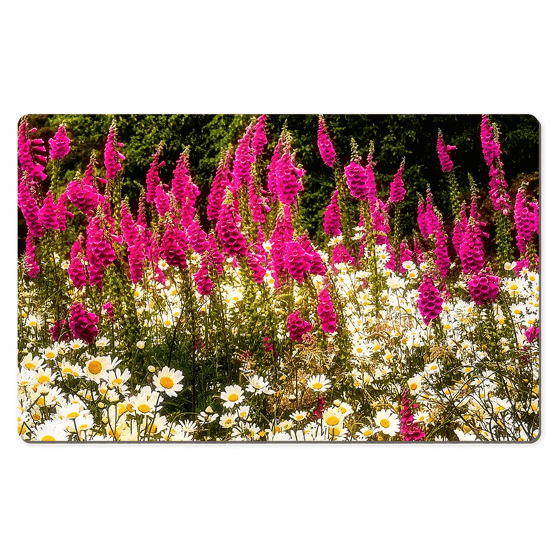 Desk Mat - Daisies and Foxglove in the Irish Countryside - James A. Truett - Moods of Ireland - Irish Art