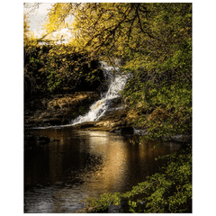 Print - Tranquil Bluebell Falls at Clondegad, County Clare - James A. Truett - Moods of Ireland - Irish Art