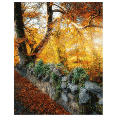 Print - Roadside Autumn Colours, County Clare - Moods of Ireland