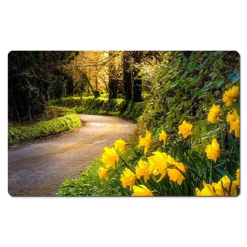 Desk Mat - Spring Daffodils on Irish County Road, County Clare - James A. Truett - Moods of Ireland - Irish Art