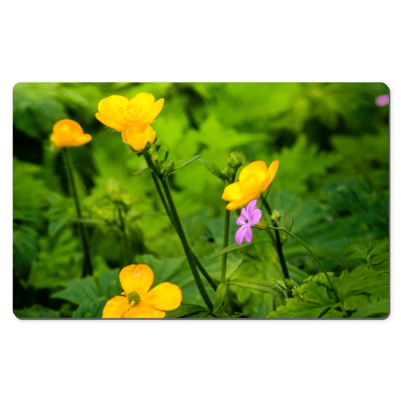 Desk Mat - Wildflowers in Filtered Sunlight, Ballylee, County Galway - James A. Truett - Moods of Ireland - Irish Art