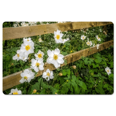 Desk Mat - Japanese Anemones in the Irish Countryside - James A. Truett - Moods of Ireland - Irish Art