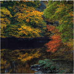 Shower Curtain - Autumn on Ireland's Cloon River, County Clare - James A. Truett - Moods of Ireland - Irish Art