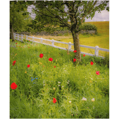 Shower Curtain - Poppy Field in Ballynacally, County Clare - James A. Truett - Moods of Ireland - Irish Art