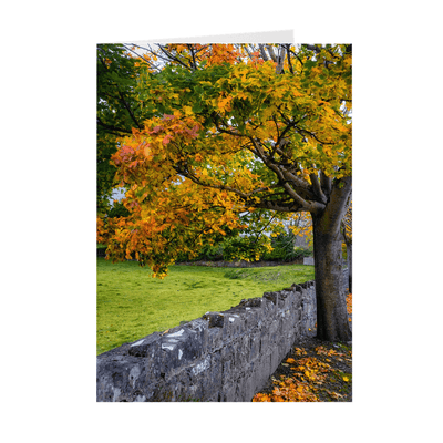 Folded Note Cards - Autumn Tree at Kildysart, County Clare - James A. Truett - Moods of Ireland - Irish Art
