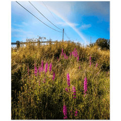 Print - County Clare Rainbow over Roadside Wildflowers - James A. Truett - Moods of Ireland - Irish Art