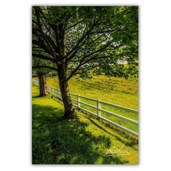 Ballynacally Spring Meadow Irish Print - James A. Truett - Moods of Ireland - Irish Art