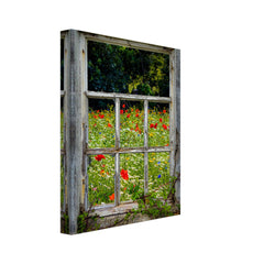 Canvas Wrap - Irish Wildflower Meadow framed by Weathered Window, County Clare