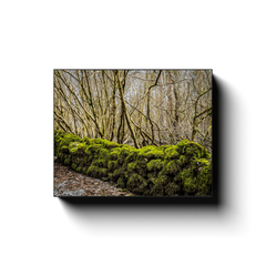 Canvas Wrap - Moss-covered Rock Wall at Coole Park, County Galway - James A. Truett - Moods of Ireland - Irish Art