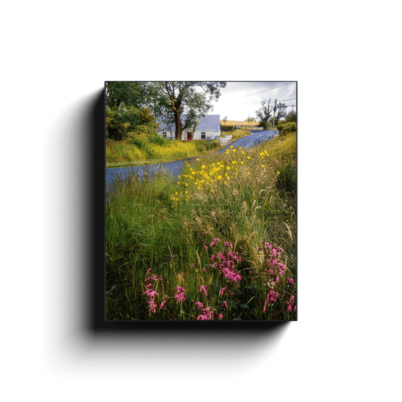 Canvas Wrap - Summer Wildflowers near Kildysart, County Clare - James A. Truett - Moods of Ireland - Irish Art