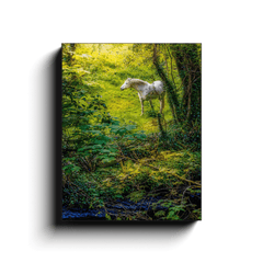Canvas Wrap - White Horse in 40 Shades of Green, County Clare - James A. Truett - Moods of Ireland - Irish Art