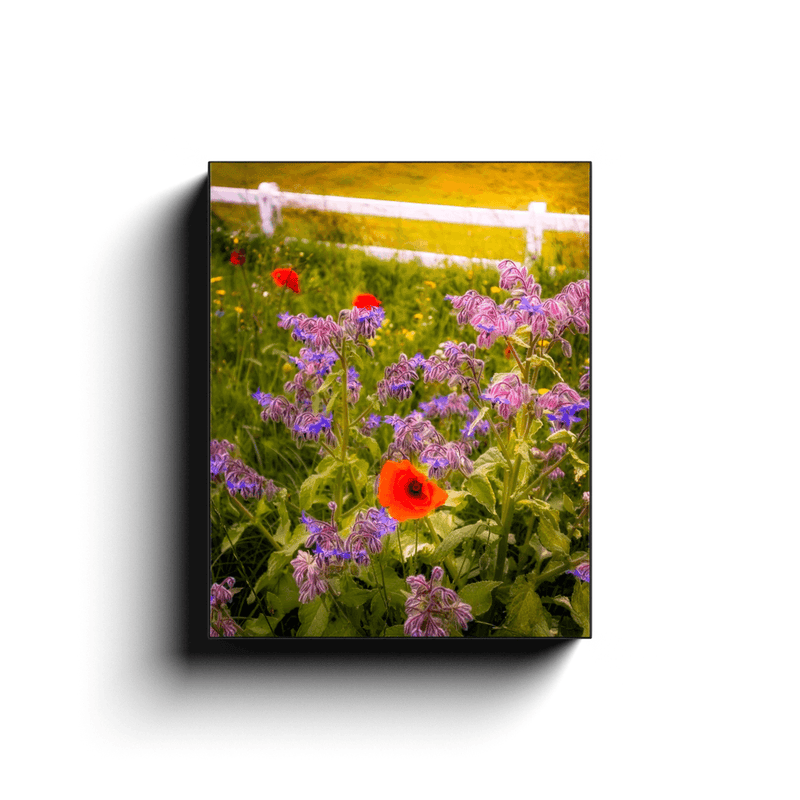 Canvas Wrap - Wildflower Meadow at Ballynacally, County Clare - James A. Truett - Moods of Ireland - Irish Art