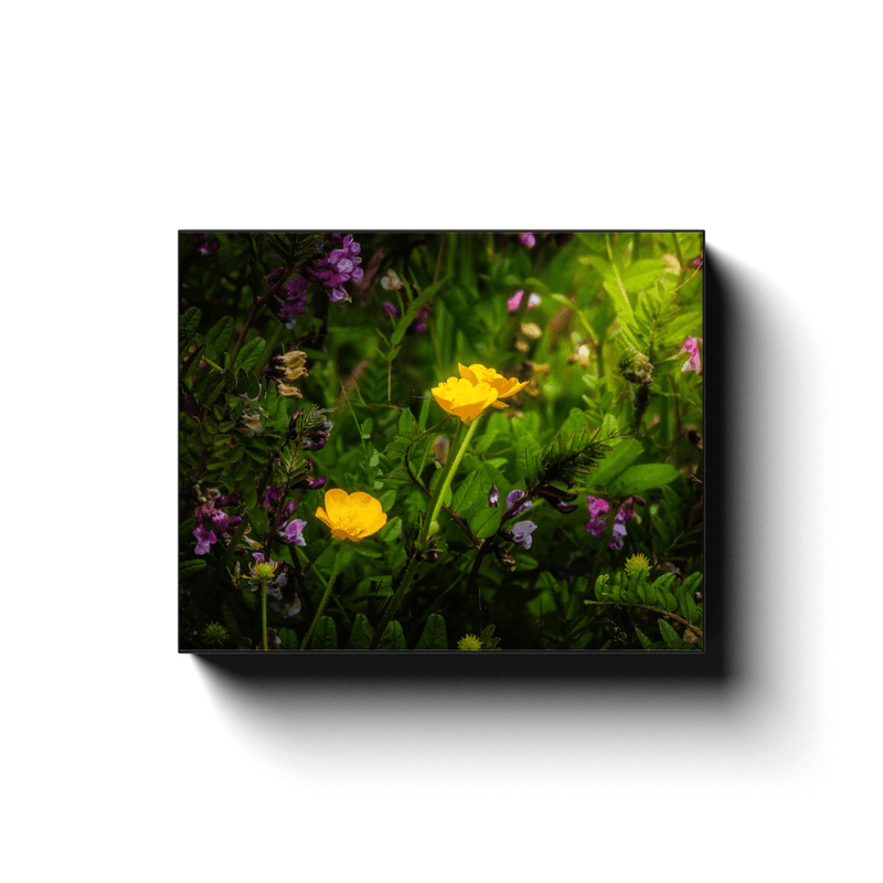 Canvas Wrap - Buttercups and other Wildflowers, County Clare - James A. Truett - Moods of Ireland - Irish Art