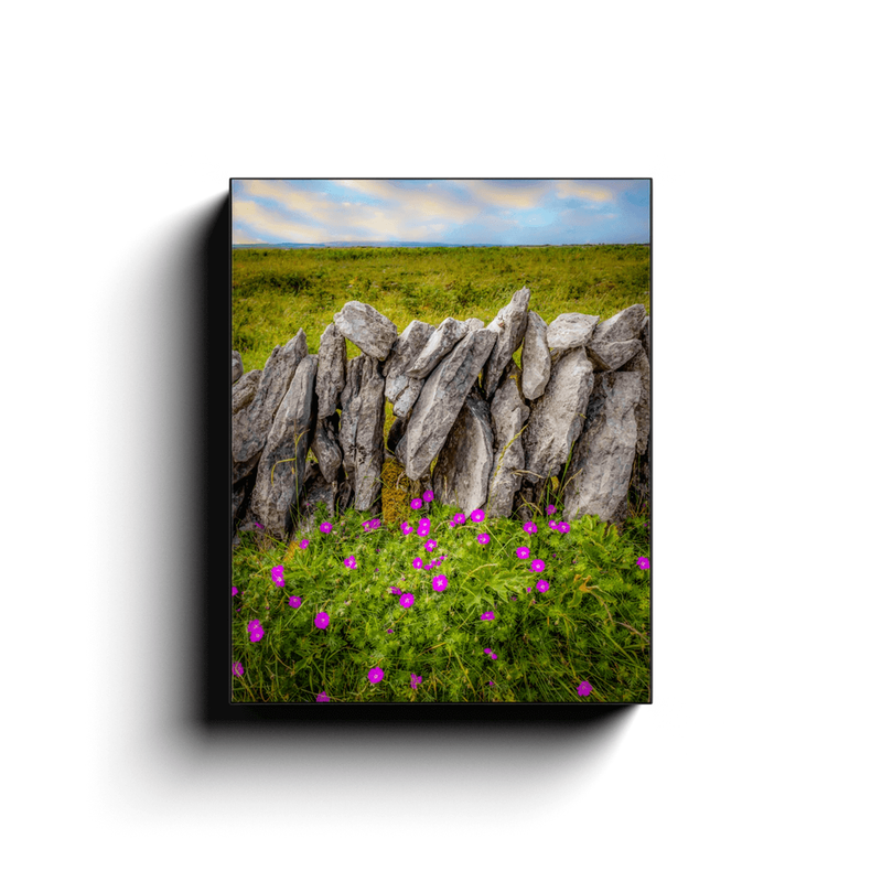 Canvas Wrap - Bloody Cranes-bill Wildflowers in the Burren - James A. Truett - Moods of Ireland - Irish Art