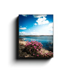 Canvas Wrap - Sea Pinks along Ireland's Shannon Estuary - James A. Truett - Moods of Ireland - Irish Art