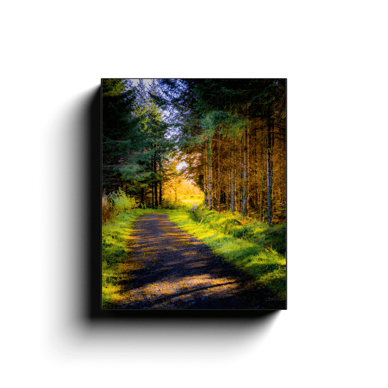 Canvas Wrap - Sunlit path in County Clare - James A. Truett - Moods of Ireland - Irish Art