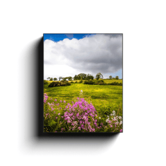 Canvas Wrap - Lissycasey Wildflowers, County Clare, Ireland - James A. Truett - Moods of Ireland - Irish Art