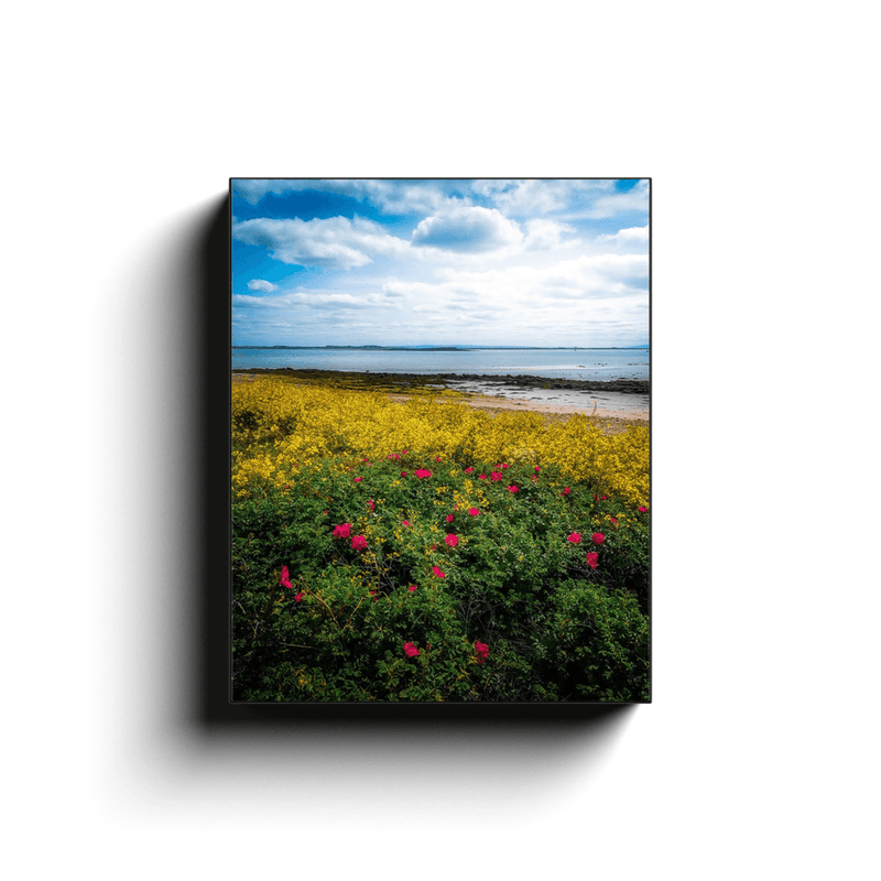 Canvas Wrap - Summer Wildflowers on Galway Bay - James A. Truett - Moods of Ireland - Irish Art