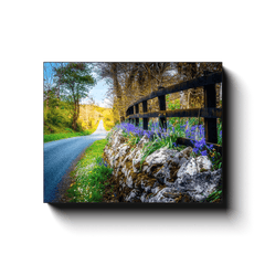 Canvas Wrap - Bluebell-lined County Clare Road - James A. Truett - Moods of Ireland - Irish Art