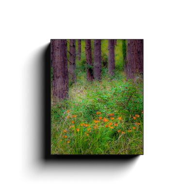 Canvas Wrap - Portumna Forest Park Paradise in County Galway - James A. Truett - Moods of Ireland - Irish Art