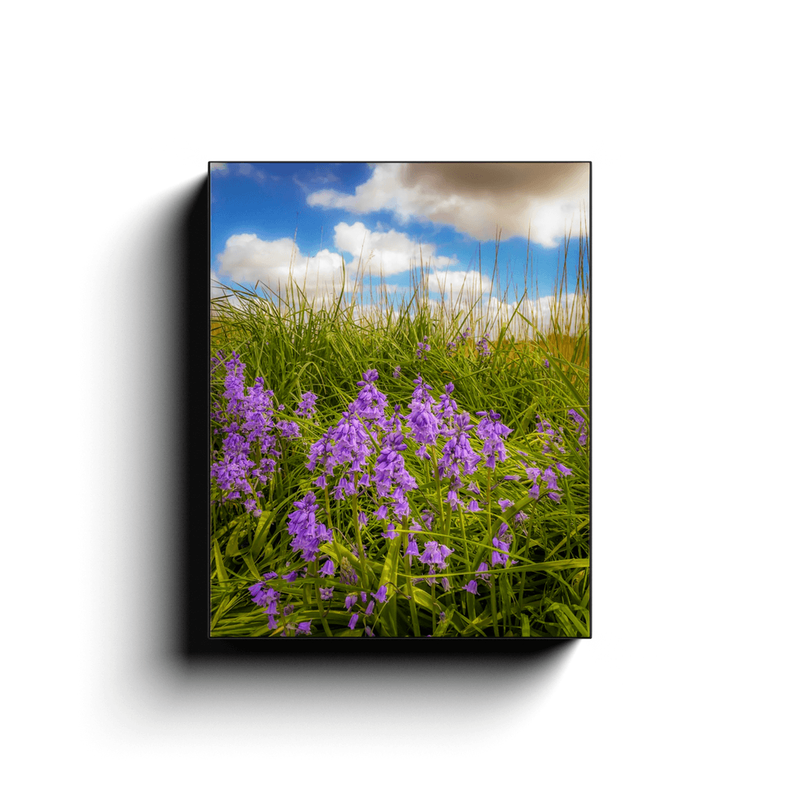 Canvas Wrap - Ballycorick Bluebells - James A. Truett - Moods of Ireland - Irish Art