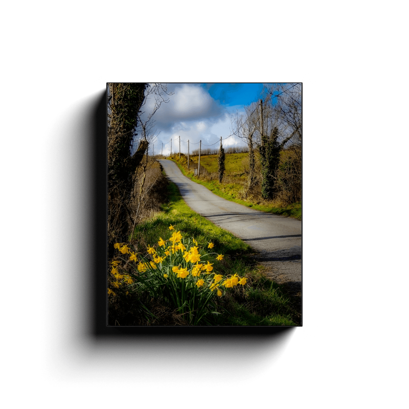 Canvas Wrap - Spring Daffodils under Blue Sky, County Clare - James A. Truett - Moods of Ireland - Irish Art