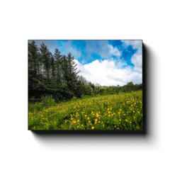 Canvas Wrap - Field of Buttercups in Spring, County Clare - James A. Truett - Moods of Ireland - Irish Art