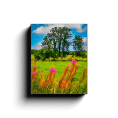 Canvas Wrap - Lanna Fireweeds, County Clare - James A. Truett - Moods of Ireland - Irish Art