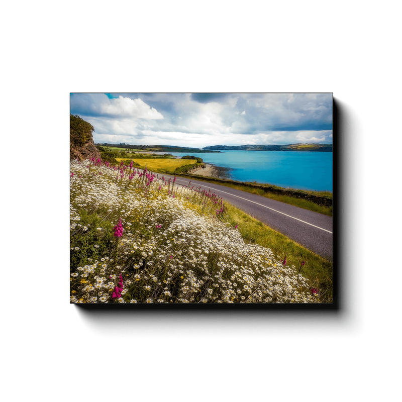 Canvas Wrap - Field of blooms along Shannon Estuary, County Clare - James A. Truett - Moods of Ireland - Irish Art