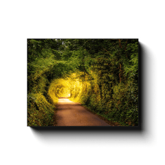 Canvas Wrap - Green Tunnel in Lavalla, County Clare - James A. Truett - Moods of Ireland - Irish Art