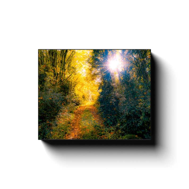 Canvas Wrap - Woodland Path through Paradise, County Clare, Ireland - James A. Truett - Moods of Ireland - Irish Art