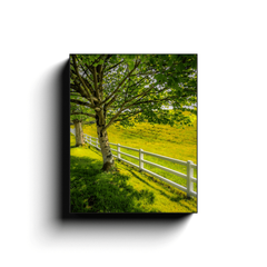 Canvas Wrap - Ballynacally Spring Meadow, County Clare - James A. Truett - Moods of Ireland - Irish Art