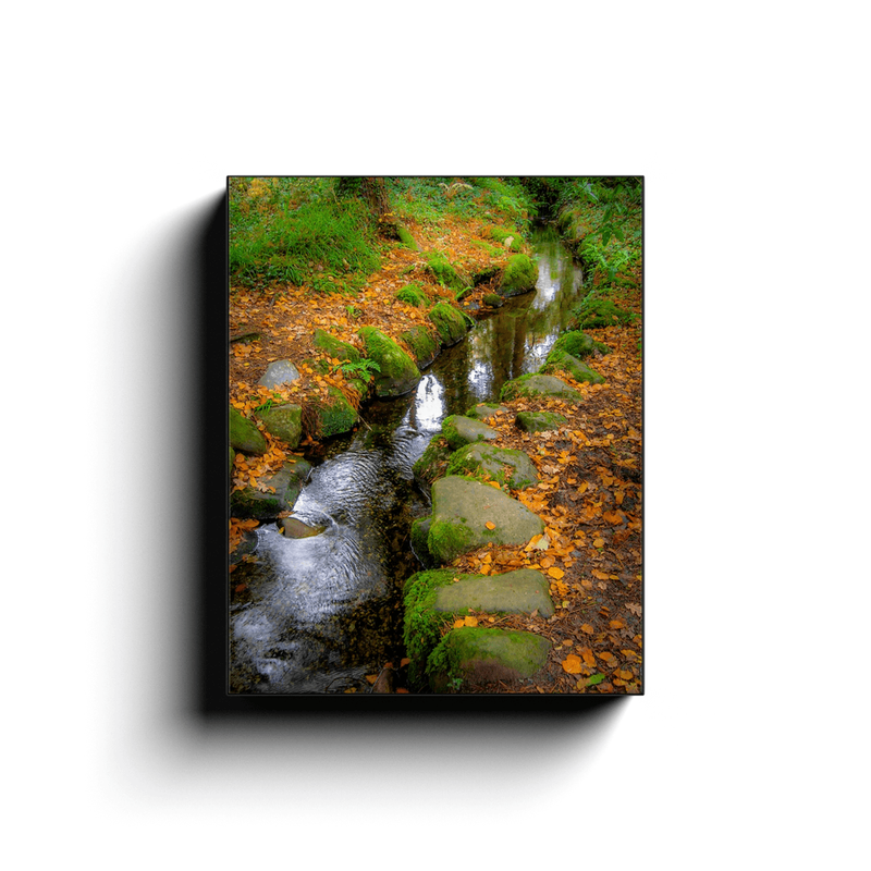 Canvas Wrap - Autumn Stream in Killarney National Park, County Kerry - James A. Truett - Moods of Ireland - Irish Art