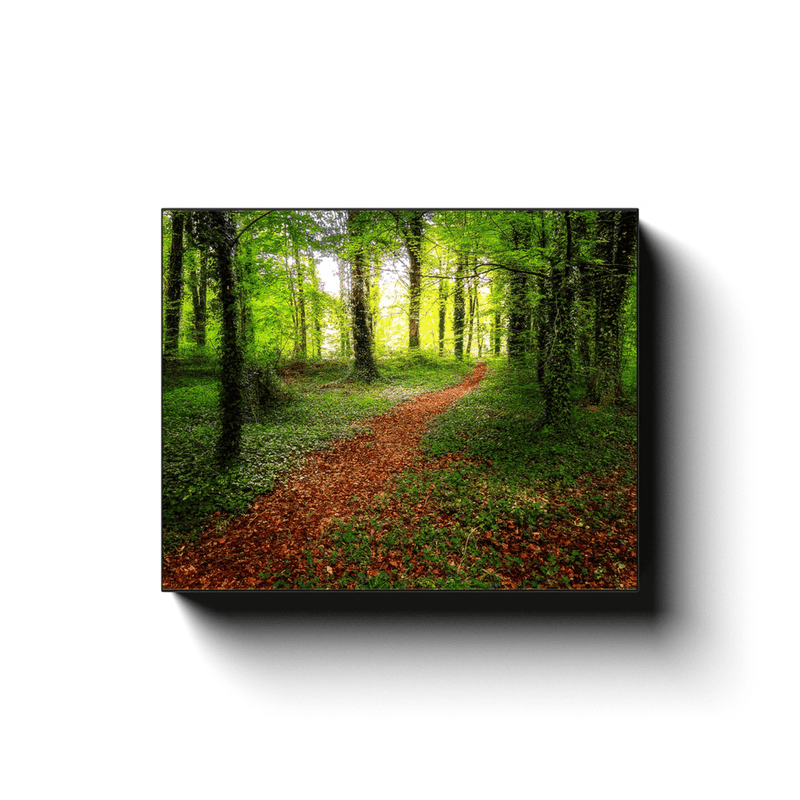 Canvas Wrap - Pathway to Spring, Coole Park, County Galway - James A. Truett - Moods of Ireland - Irish Art