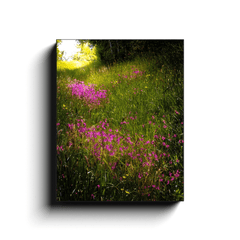 Canvas Wrap - Roadside Wildflowers in County Clare, Ireland - James A. Truett - Moods of Ireland - Irish Art