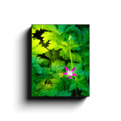 Canvas Wrap - Wildflower in Greenery, Tulla, County Clare - James A. Truett - Moods of Ireland - Irish Art