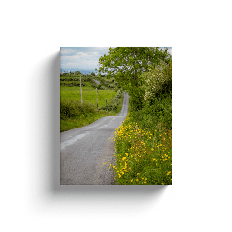 Canvas Wrap - Wildflower-lined County Clare Country Road - James A. Truett - Moods of Ireland - Irish Art