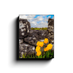 Canvas Wrap - County Galway Tulips Nature - James A. Truett - Moods of Ireland - Irish Art