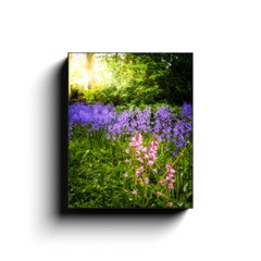 Canvas Wrap - Bluebells of Kilrush, County Clare, Ireland - James A. Truett - Moods of Ireland - Irish Art