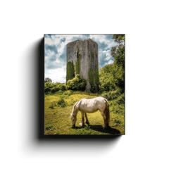 Canvas Wrap - Ballygriffy Castle, County Clare - James A. Truett - Moods of Ireland - Irish Art