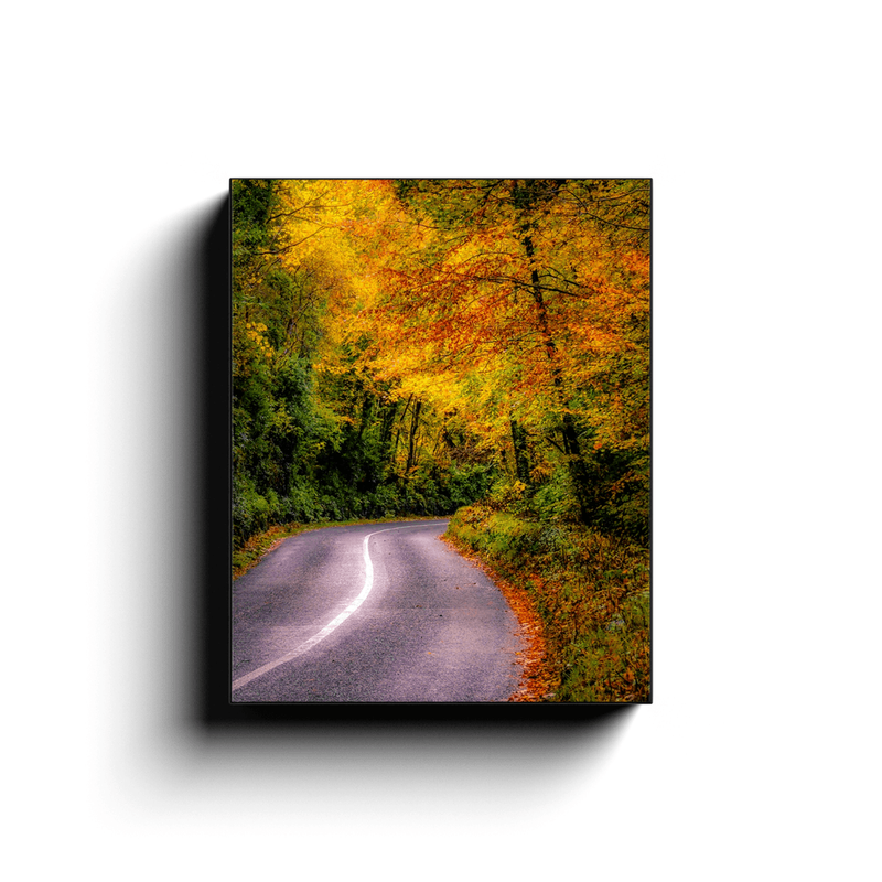 Canvas Wrap - Rural Irish Road under Autumn Canopy, County Clare - James A. Truett - Moods of Ireland - Irish Art