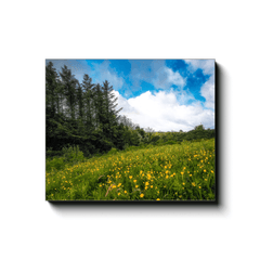 Canvas Wrap - Field of Buttercups in Spring, County Clare - James A. Truett - Moods of Ireland - Irish Art