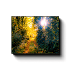 Canvas Wrap - Woodland Path through Paradise, County Clare, Ireland - James A. Truett - Moods of Ireland - Irish Art