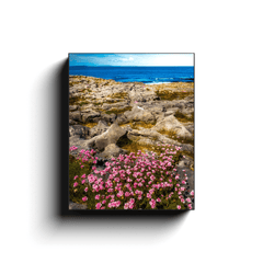 Canvas Wrap - Sea Pinks Blooming in the Burren Limestone, County Clare - James A. Truett - Moods of Ireland - Irish Art