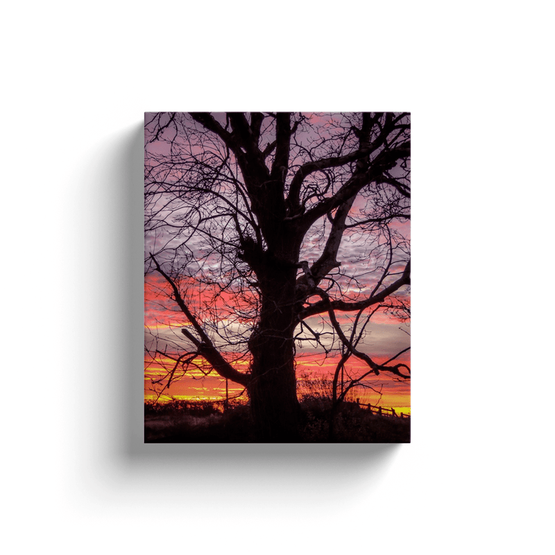 Canvas Wrap - Irish Sunrise and Hibernating Tree - James A. Truett - Moods of Ireland - Irish Art