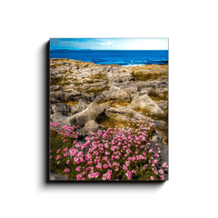 Canvas Wrap - Sea Pinks Blooming in the Burren Limestone, County Clare - James A. Truett - Moods of Ireland - Irish Art