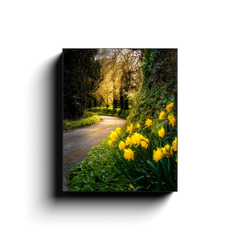 Canvas Wrap - Irish Spring Country Road, County Clare - James A. Truett - Moods of Ireland - Irish Art