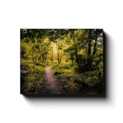 Canvas Wrap - Path in the Faerie Forest at Ballylee, County Galway - James A. Truett - Moods of Ireland - Irish Art