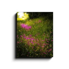 Canvas Wrap - Roadside Wildflowers in County Clare, Ireland - James A. Truett - Moods of Ireland - Irish Art